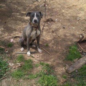 Meet your Posher, Kerry